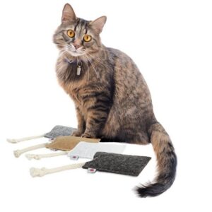 Canadian Cat Company Tier-Beschäftigungsspielzeug Katzen Filzkissen FELTY 4er Set, mit Baldrian, Schmusekissen für Katzen, mit 5g feinster Kräutermischung