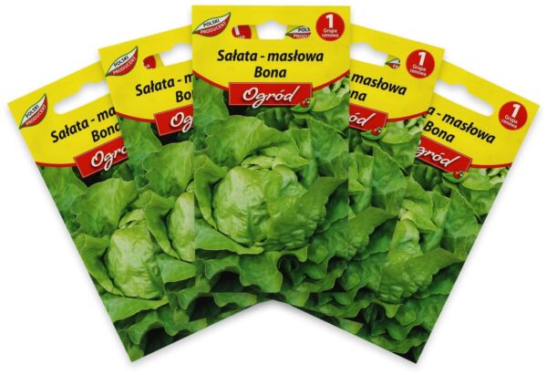 Samen, Butterkopfsalat "Bona", 5x 0,5g