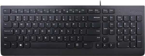 Lenovo Essential - Tastatur - USB - US mit Euro-Symbol - Schwarz - für IdeaPad 3 15IML05, 320-14, 330-14, IdeaPad Gaming 3 15IMH05, ThinkCentre M920, V55t-15