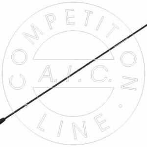 AIC Antenne Fahrzeugdach (59095) für FORD Mondeo IV Fusion III Fiesta V Focus