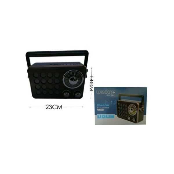 Trade Shop Traesio - tragbares fm am sw radio mit lautsprecher antenne bluetooth microsd usb stereo XC5008